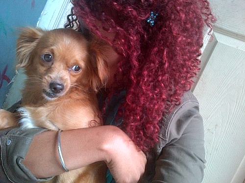 19dairyestrada's profile picture. 31 de diciembre de 1994 siguatepeque comayagua