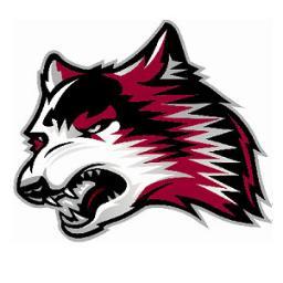 Student Activities Advisory Team plans and presents entertainment for the #redwolfnation student body. Work hard, play hard.