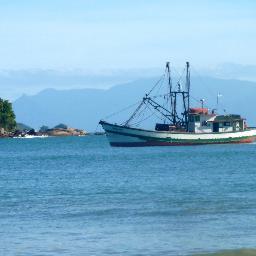 Comercio de pescados, mariscos y congelados.
Servicio a Hostelería.