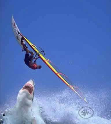 marcio_moritz's profile picture. 