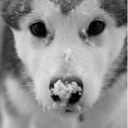 não sou perfeito,afinal quem é? eu amo Tumblr. se quiser xingar só digo que sua mensagem foi lida,humilhada e ignorada.*-*