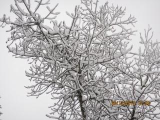 JB1GotSWAGG's profile picture. @justinbieber everyone must love him!!!!