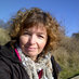 Libby Bellamy (@lib_bell) Twitter profile photo