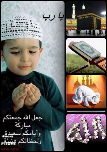 987798's profile picture. 