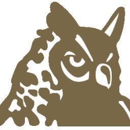 Freemon, Shapard & Story is the oldest active CPA firm registered with the Texas State Board of Public Accountancy.