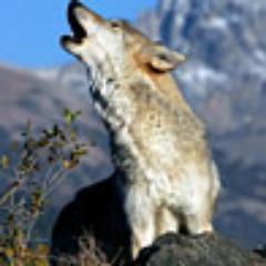 tabriskabirov's profile picture. 