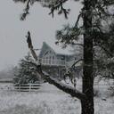 Fran Shields - @ShieldsLazyS - Twitter