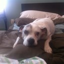 James Taranto - @taranto_james - Twitter