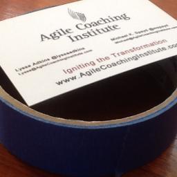 I am the mascot of the Agile Coaching Institute. That's what @lyssaadkins and @mspayd call me. Really, I know that I am more than a mascot. I am indispensable.