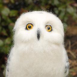 YvonnesWorkshop's profile picture. I used to be a texture painter at Pixar. Now I just self published my first children's picture book. I also make things with wool and sell them on Etsy.