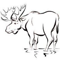 Moosehide Campaign (@moosehidepg) 's Twitter Profile