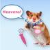 Engrish.com (@engrishdotcom) Twitter profile photo