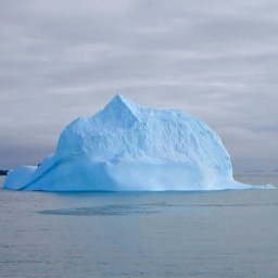Alliance Managers know that signing the deal is just the tip of the iceberg.