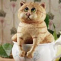 Я не знаю, что люди принимают от головы, но это им не помогает…