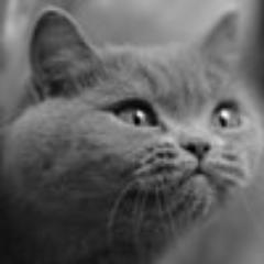 AbramovaAlesya Profile Picture