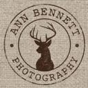 Ann Bennett Photo - @annbennettphoto - Twitter