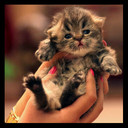 ` βυяӈΌ̴๓ ..♡ (@0501775547) Twitter