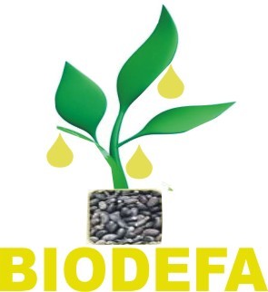 Leader in Biofuel crops development in Nigeria.