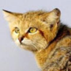 Модная мужская и женская одежда. Зимняя и летняя обувь, мокасины, кроссовки, ботинки, балетки и т.д.