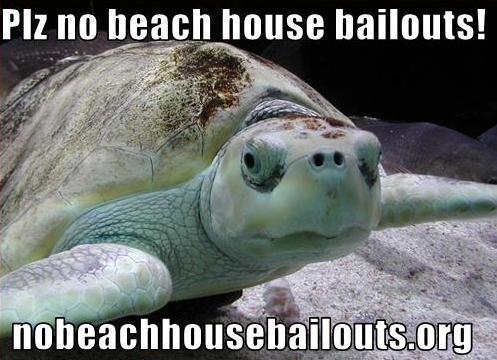 NoBchHseBailout's profile picture. We are against  bailouts of beach houses through insurance subsidies that lead to building in hurricane prone areas and in environmentally sensitive habitats.