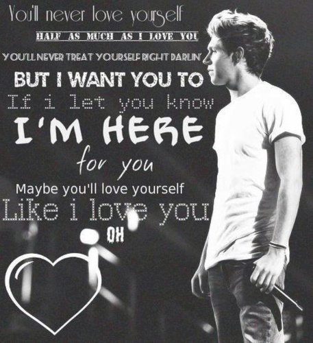 I love Niall James Horan. Simply that. Ive got One direction infection definitely.