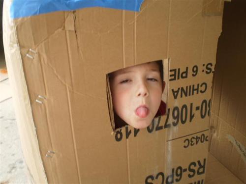 sttargazr21's profile picture. 