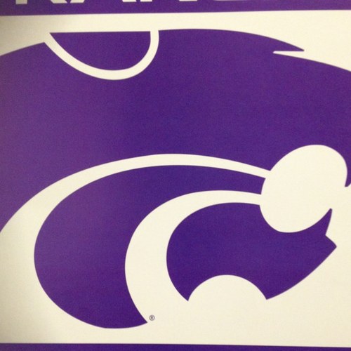 Father, PE Teacher, KSU Fan