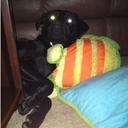 Bailey Thiel  - @BaileyThiel - Twitter