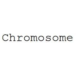 Chromosomeπ²