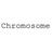 chromosomeaudio's profile image