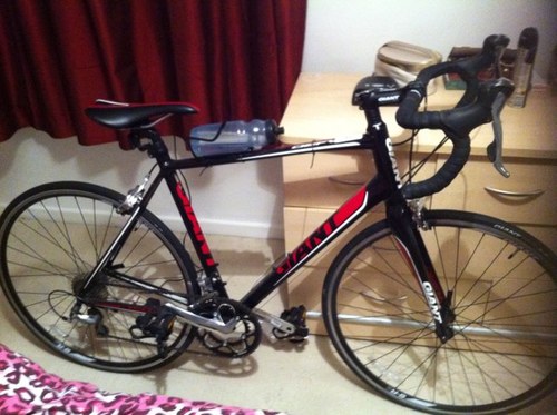 jamtaylor69's profile picture. Gym crazy!