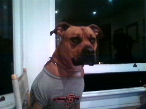 mickmac67c's profile picture. 