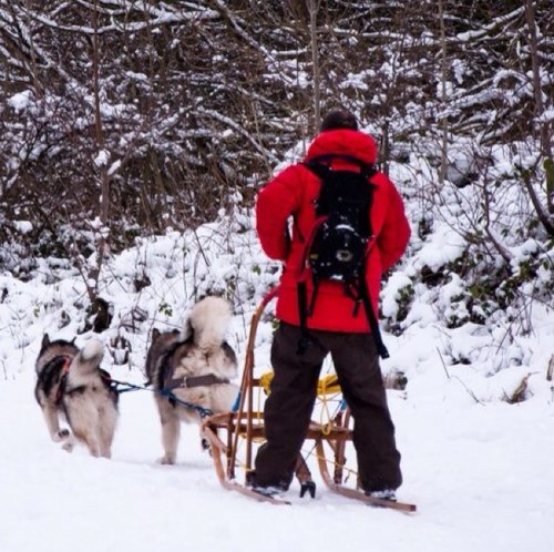 Run my own web design & development business, snowboard, downhill mountain bike.