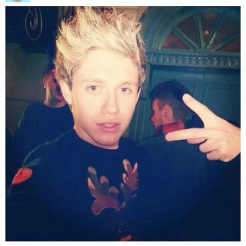 niallbitchez's profile picture. 0/5 hbu? ·directioner· im in love with 5 boys, slut? no. directioner