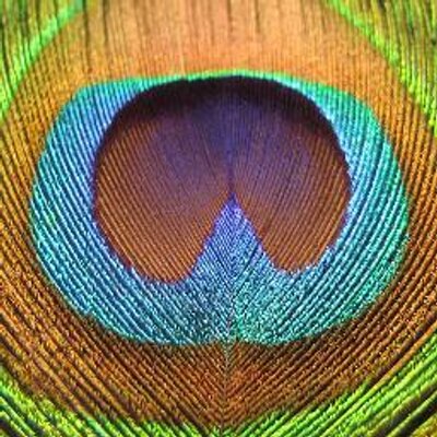 Profile Picture of Trevor  McFarlane (@SquadyMc) on Twitter