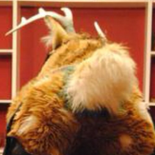 MurrsuitManuel's profile picture. Murrsuit tips, tricks, con news and humor! Feel free to DM me for a retweet or suggestion!