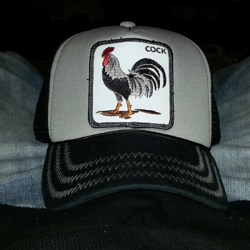 tweetinshit's profile picture. 