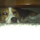 Bryce Schroeder - @bschroeder1997 - Twitter