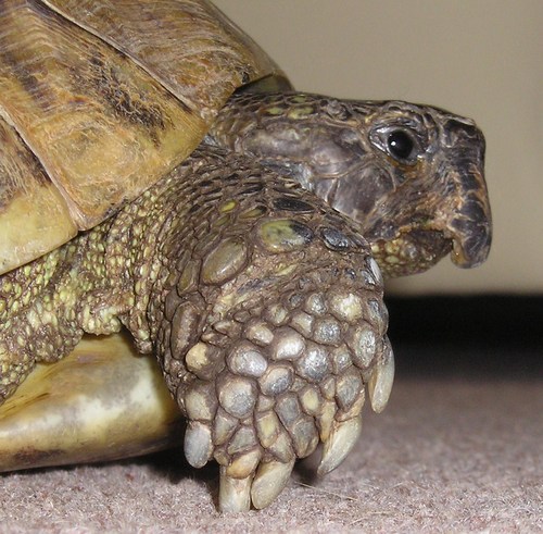 layfieldclass4's profile picture. 