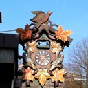 Steve Nickerson - @sdnickers - Twitter