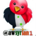 Aws (@awsyrian1) Twitter profile photo