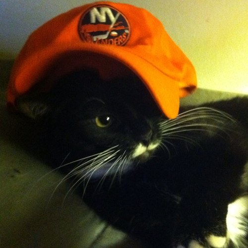 NYIslesScene Profile Picture