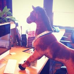 Former racehorse trying to break into the ad business. Currently the secretary for a creative department.