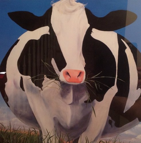 Husband, father, dairy veterinarian, Christian, conservative, carnivore.  Proud supporter of modern agriculture - abundant, safe and wholesome food.