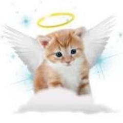 Hi! I'm Jiselle! My brother is @Sonbaric! I hope to make many friends here!