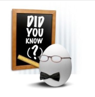 Fun and interesting facts     Follow for follow