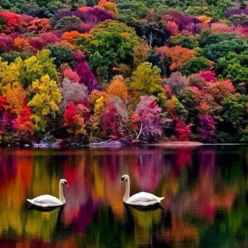 BrndsCheryl's profile picture. 