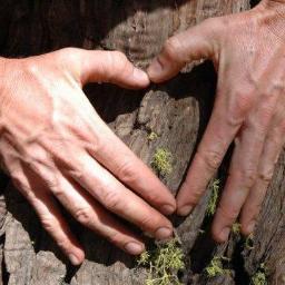 MsMidtown's profile picture. Realtor Consultant & Entrepreneur. Helping people give to those in need. organic gardener and the original msmidtown