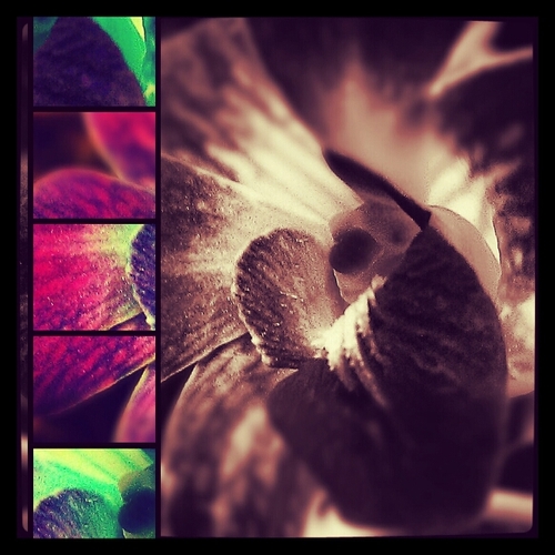 emarque7's profile picture. 