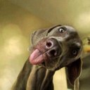 steven bemis - @garbofan1 - Twitter